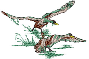 duck embroidery designs