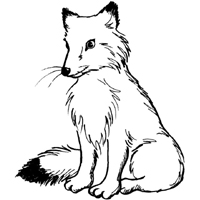 fox embroidery designs