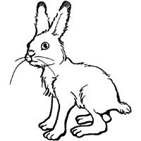 rabbit embroidery designs