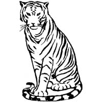 tiger embroidery designs
