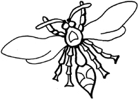 fly embroidery designs