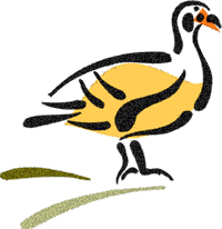 bird embroidery designs