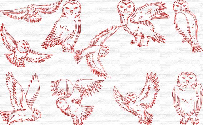 Owls embroidery designs