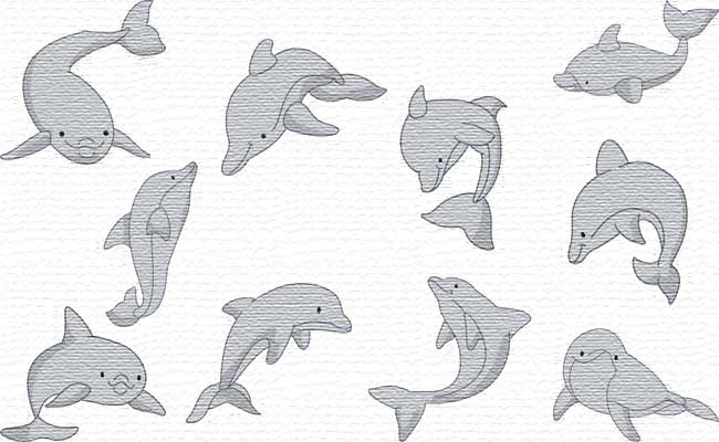 Dolphins embroidery designs