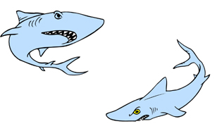 shark embroidery designs