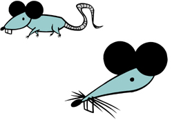 mouse embroidery designs