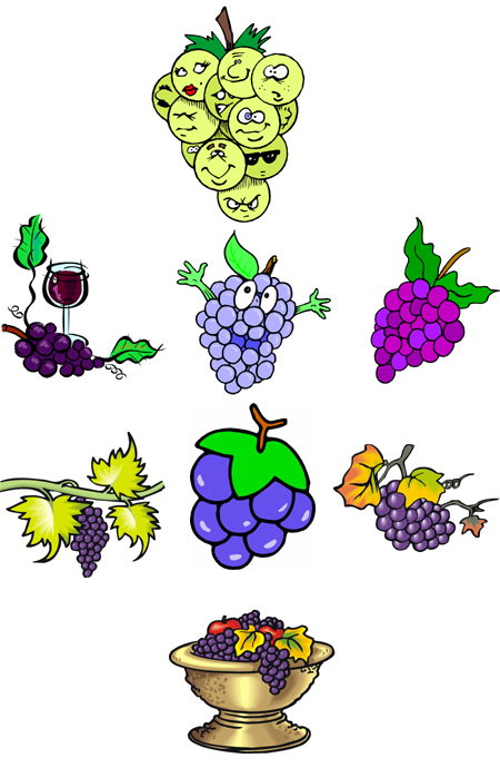 fruit embroidery designs