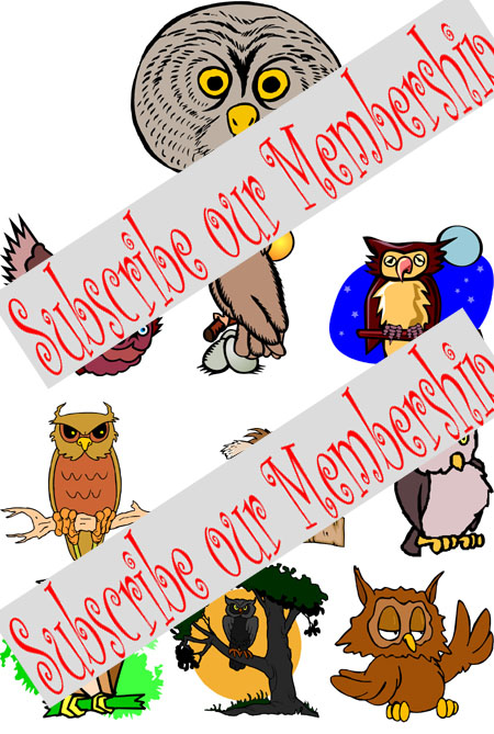 owl embroidery designs