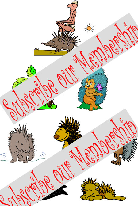 porcupine embroidery designs