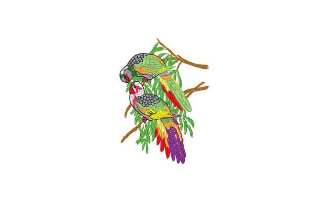 bird embroidery designs