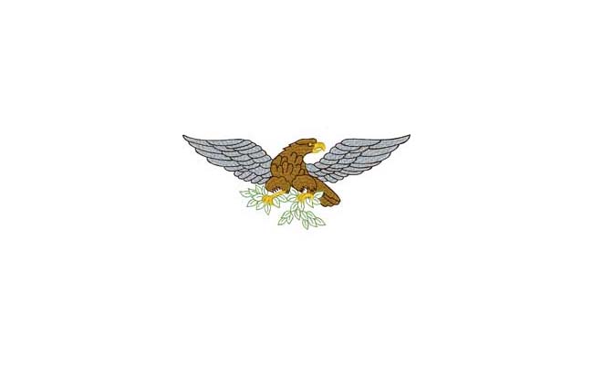 eagle embroidery designs