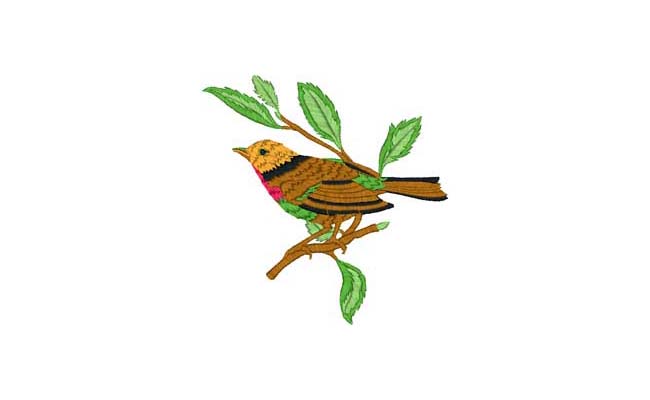 bird embroidery designs