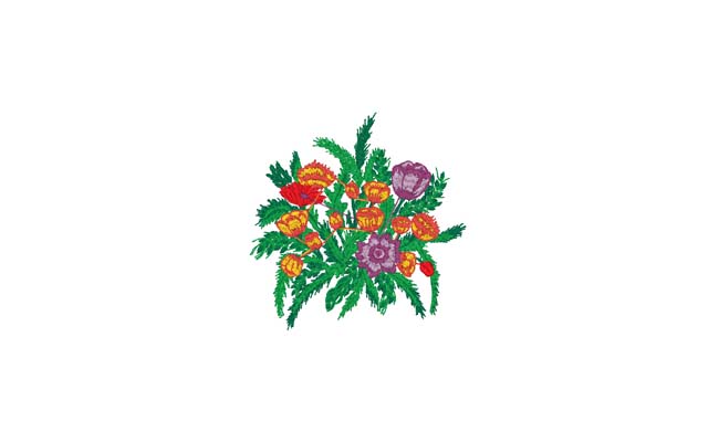 Design embroidery designs