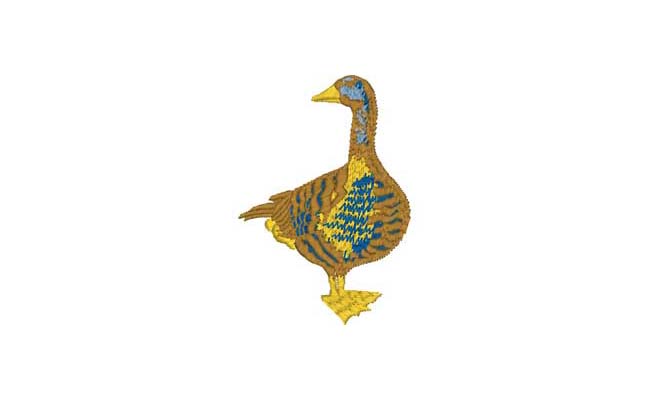 duck embroidery designs